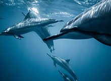 世界杯官方app下载中心-格罗斯让谈火中逃生：孩子给我力量 期待重返赛场